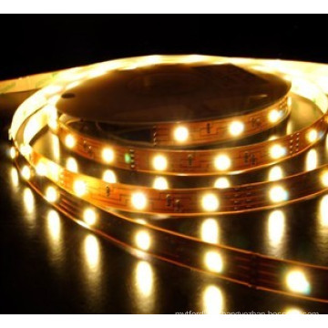 Best LED Lighting Factory in Ruian 12V/24V LED Strip Light SMD3528 5050